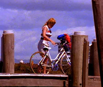 Flipper Goes to Miami