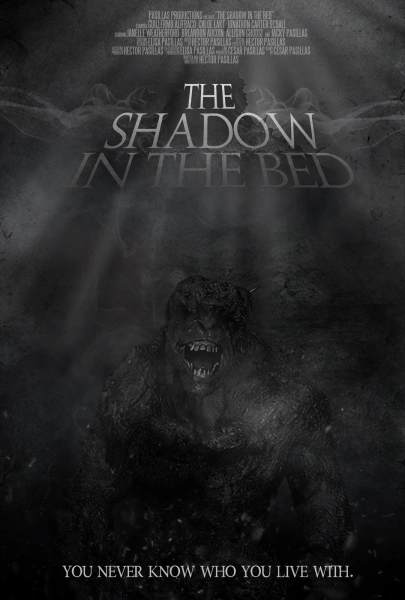 The Shadow in the Bed
