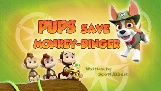 Pups Save a Sleepwalking Bear/Pups Save Dude Ranch Danny