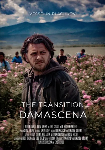 Damascena: The Transition
