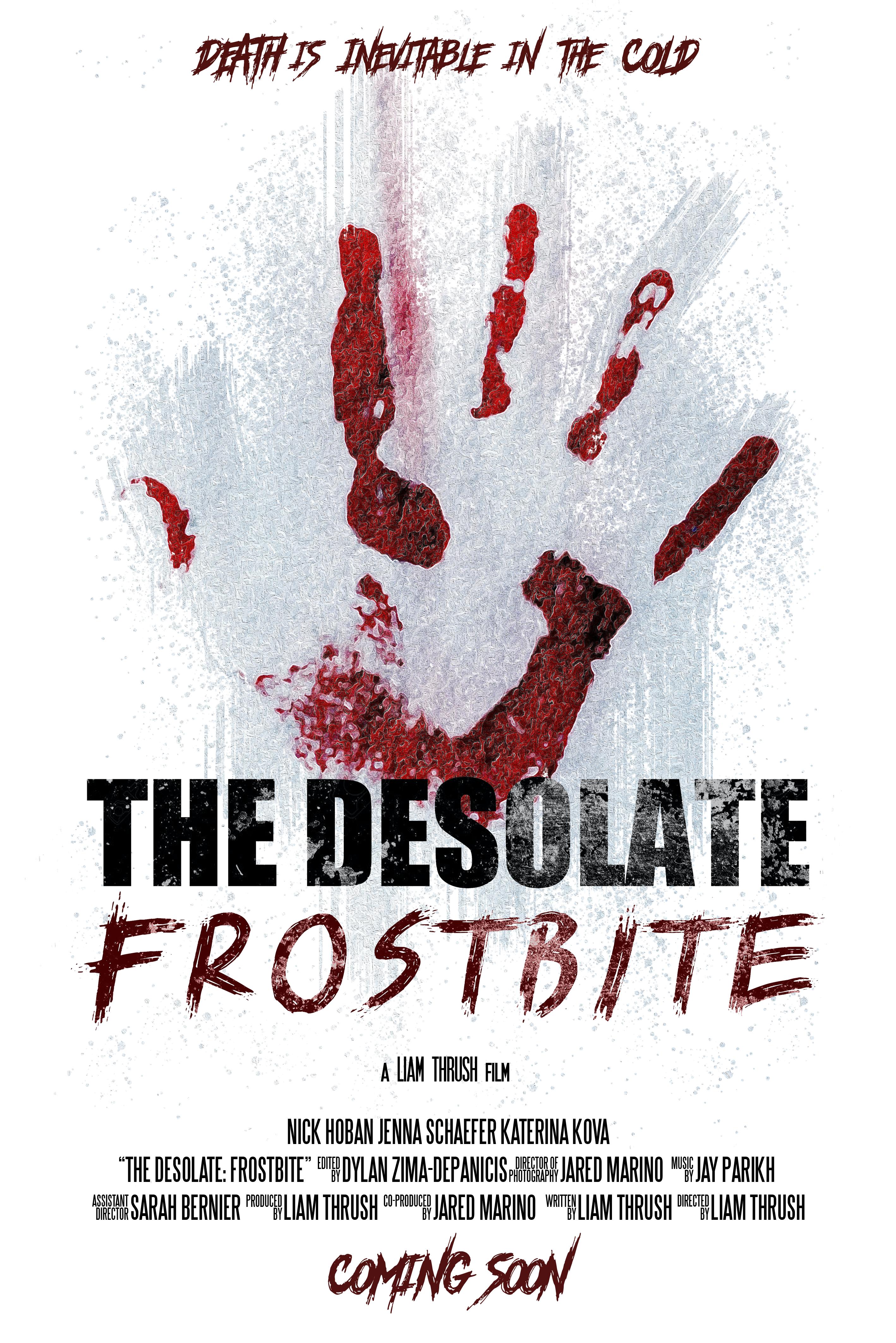 The Desolate: Frostbite