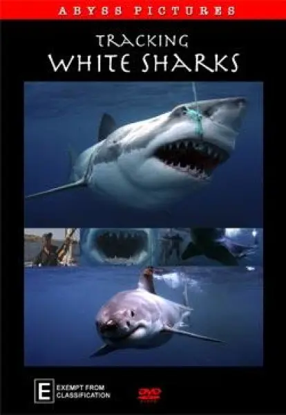 Tracking White Sharks