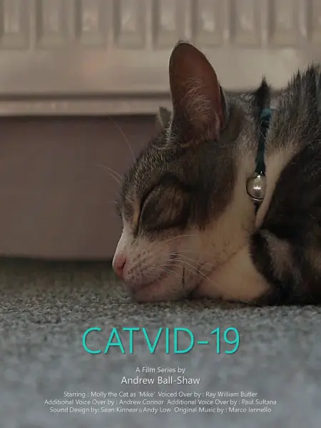 CATVID-19