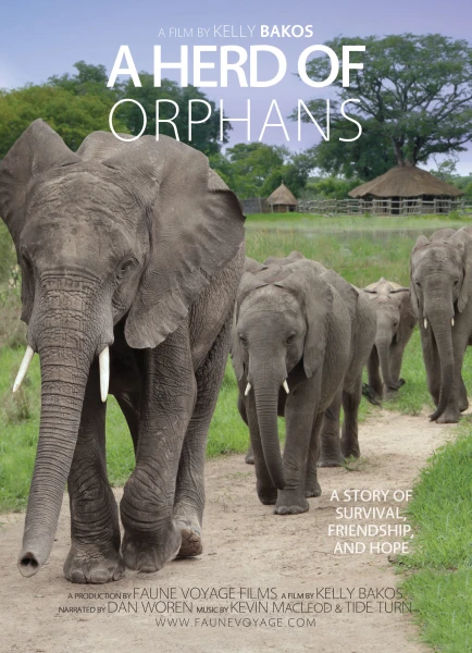 A Herd of Orphans