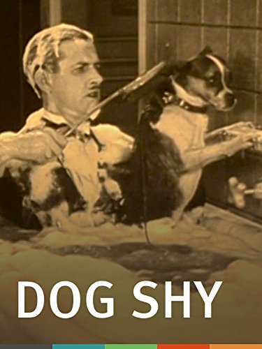 Dog Shy