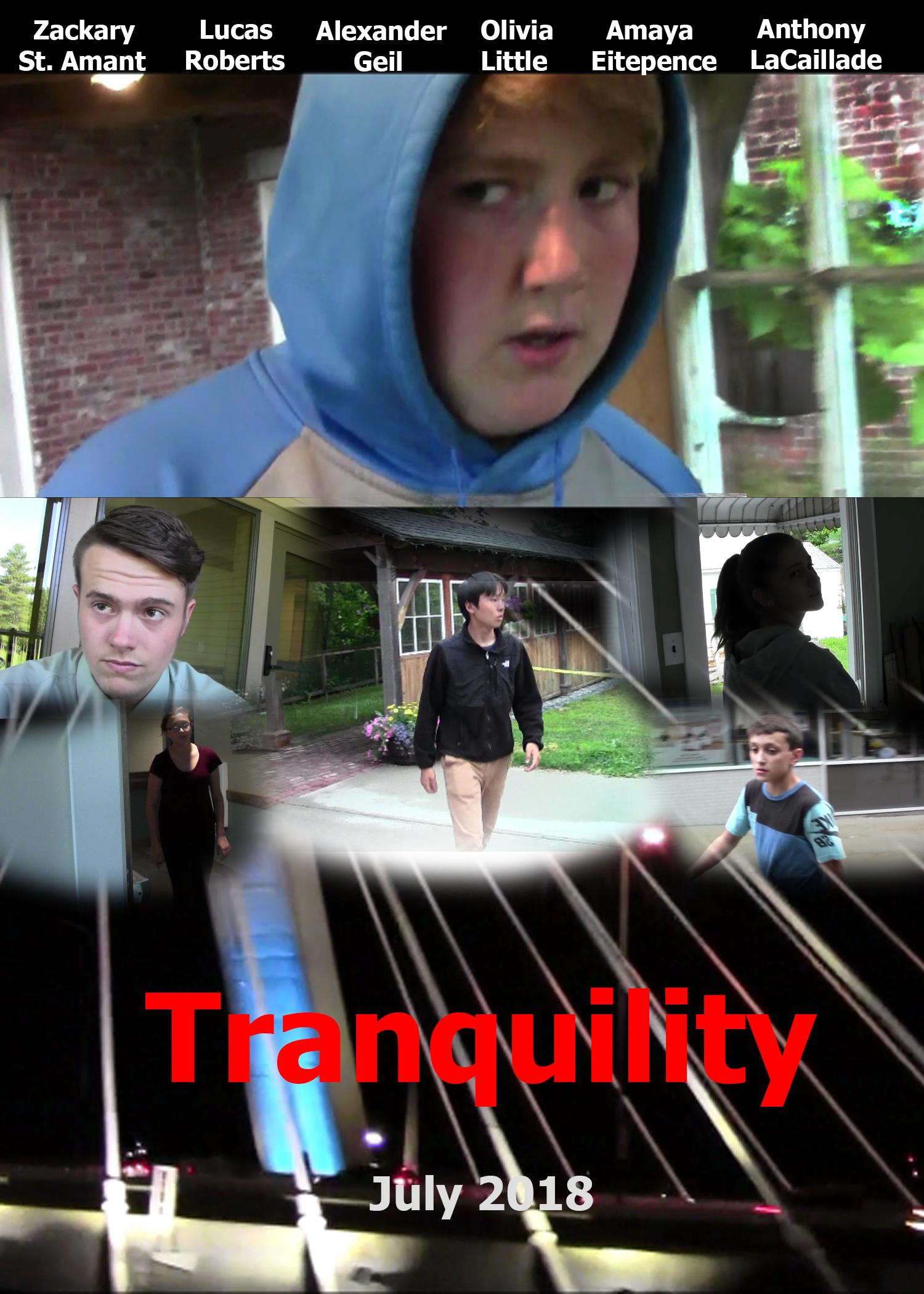 Tranquility - An Independent Espionage/Crime Film