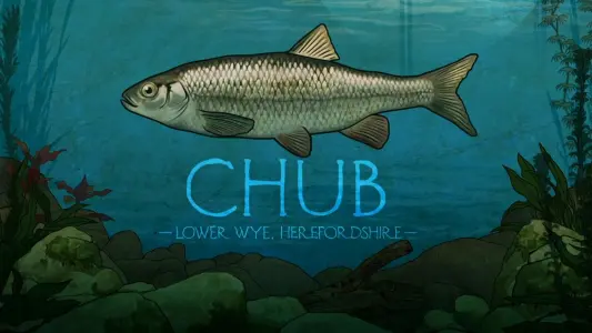 Chub: Lower Wye, Herefordshire
