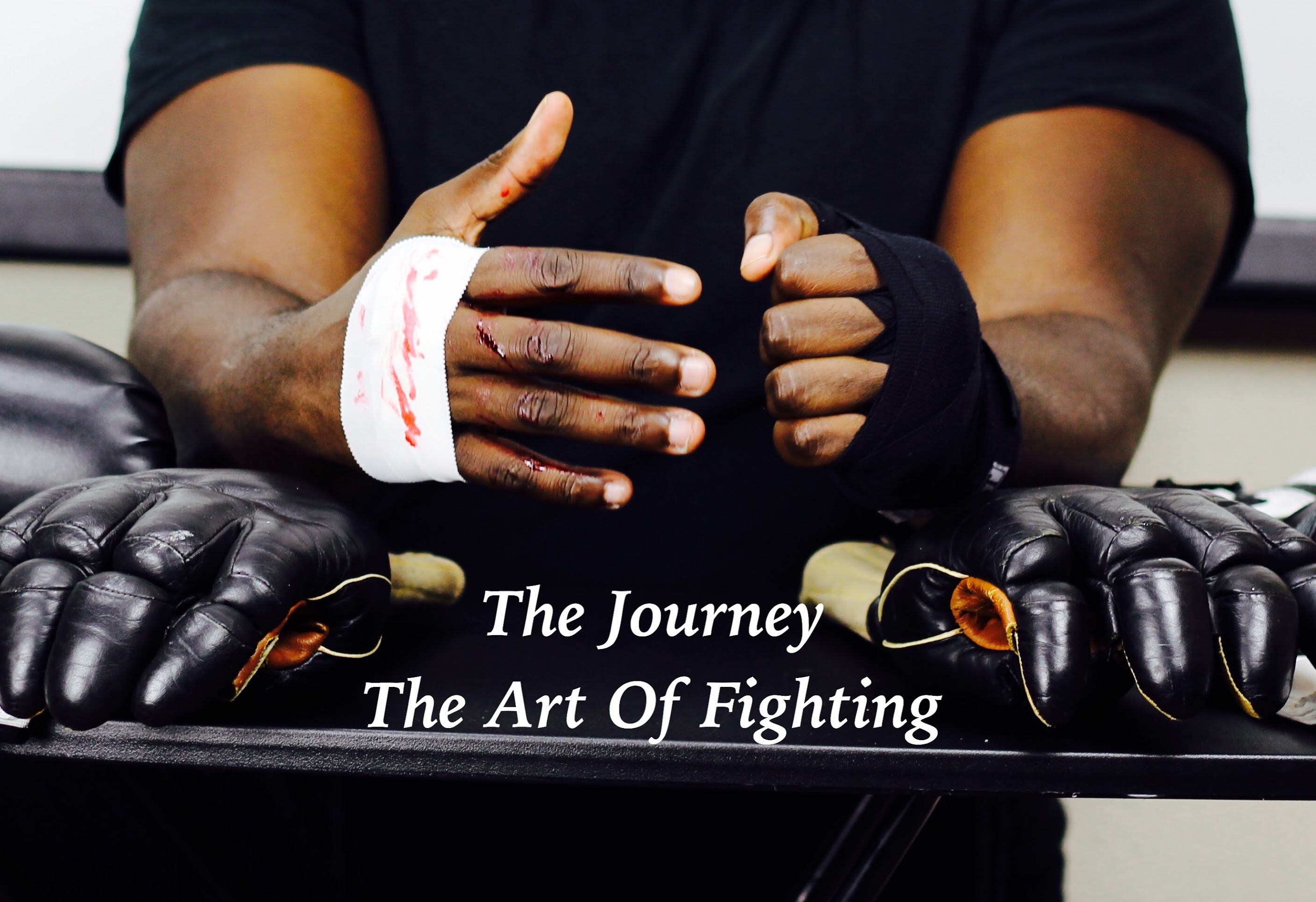 The Journey: The Art of Fighting