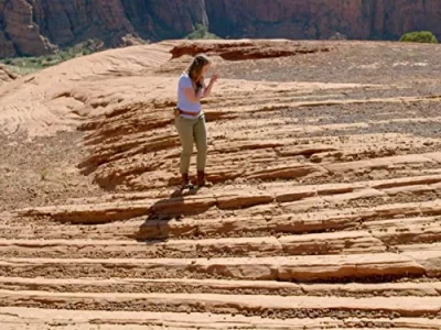Life and Death on the Red Planet