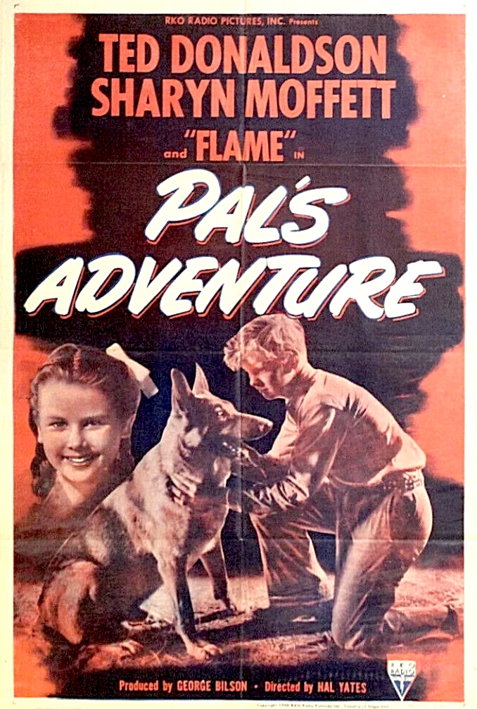 Pal's Adventure