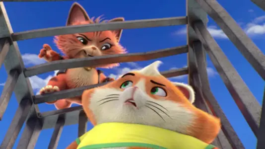Trappole per gatti