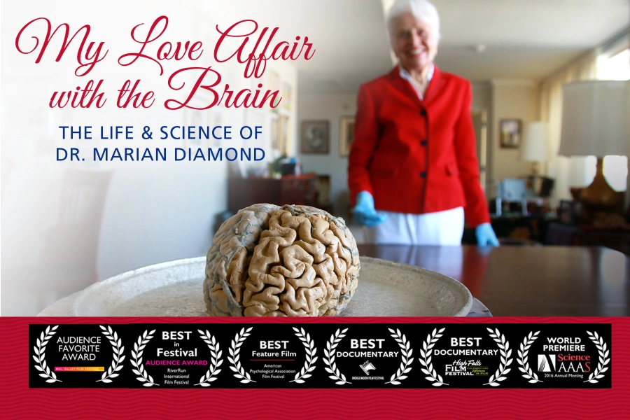 My Love Affair with the Brain: The Life and Science of Dr. Marian Diamond