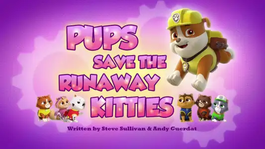 Pups Save a City Kitty/Pups Save a Cloud Surfer