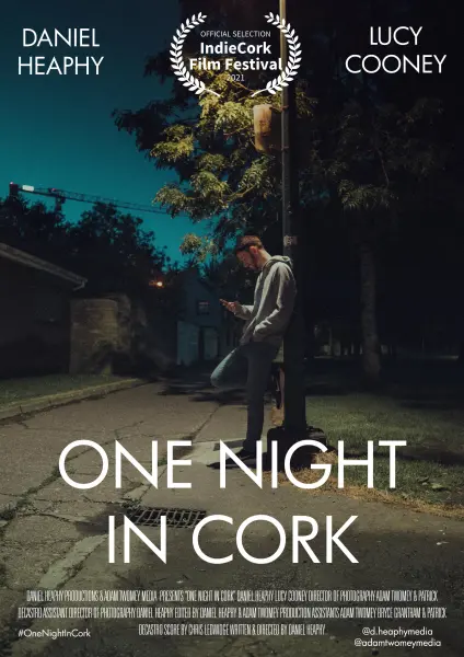 One Night in Cork
