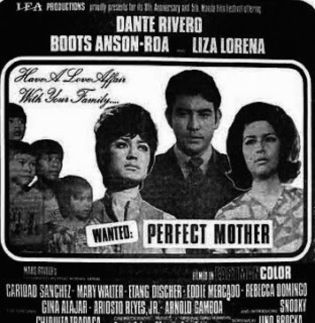Wanted: Perfect Mother
