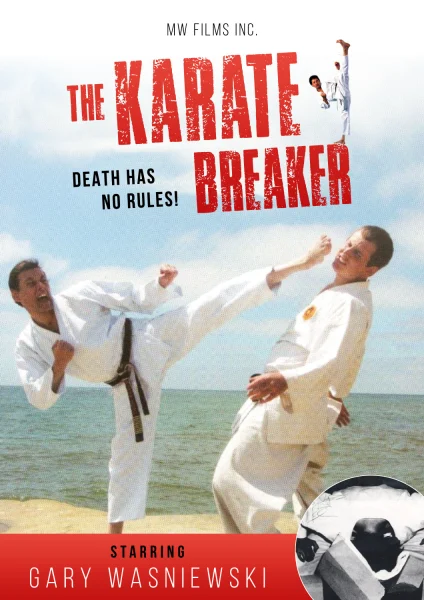 The Karate Breaker