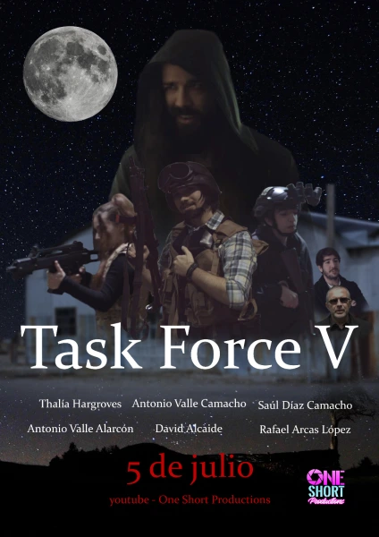 Task Force V