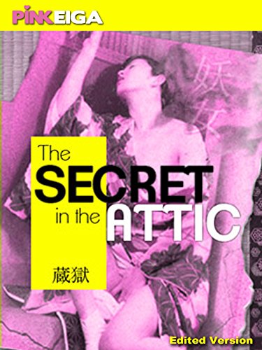The Secret in the Attic