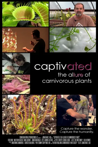 Captivated: The Allure of Carnivorous Plants