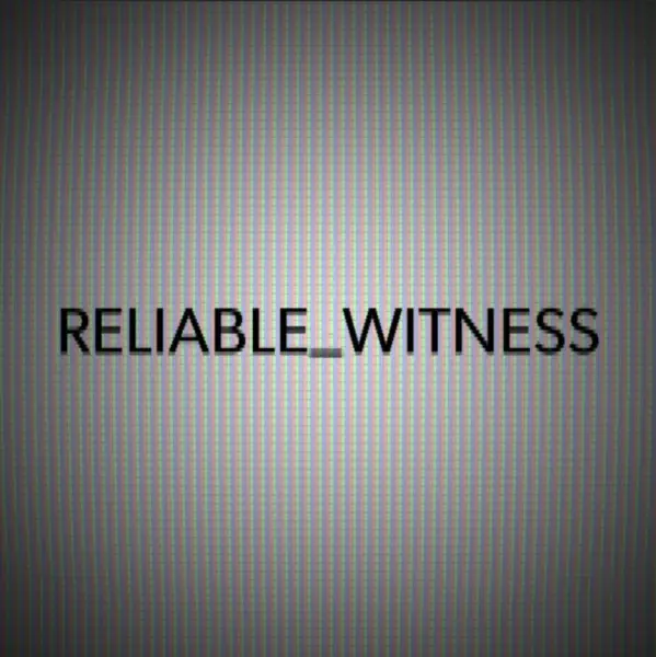 Reliable Witness
