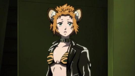 A Tiger May Die, but it Leaves it's Skin