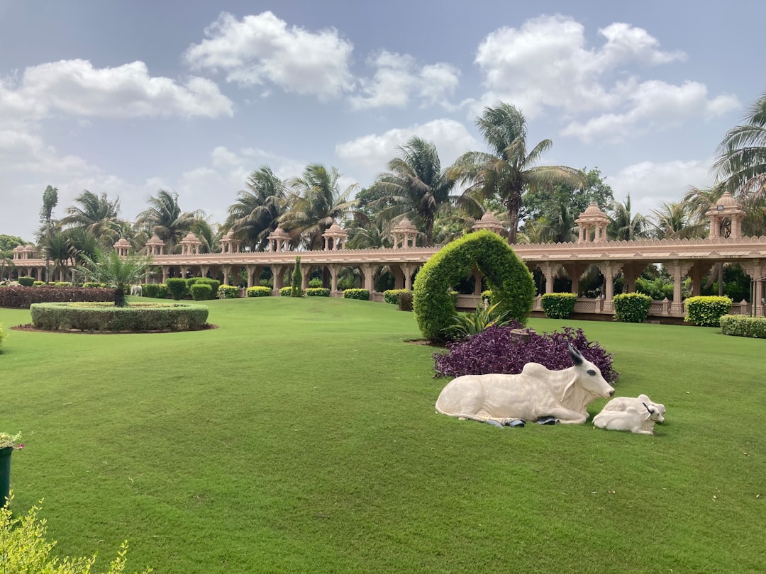 The Ultimate Guide to Adelaide to Brisbane Train Travel for Pensioners