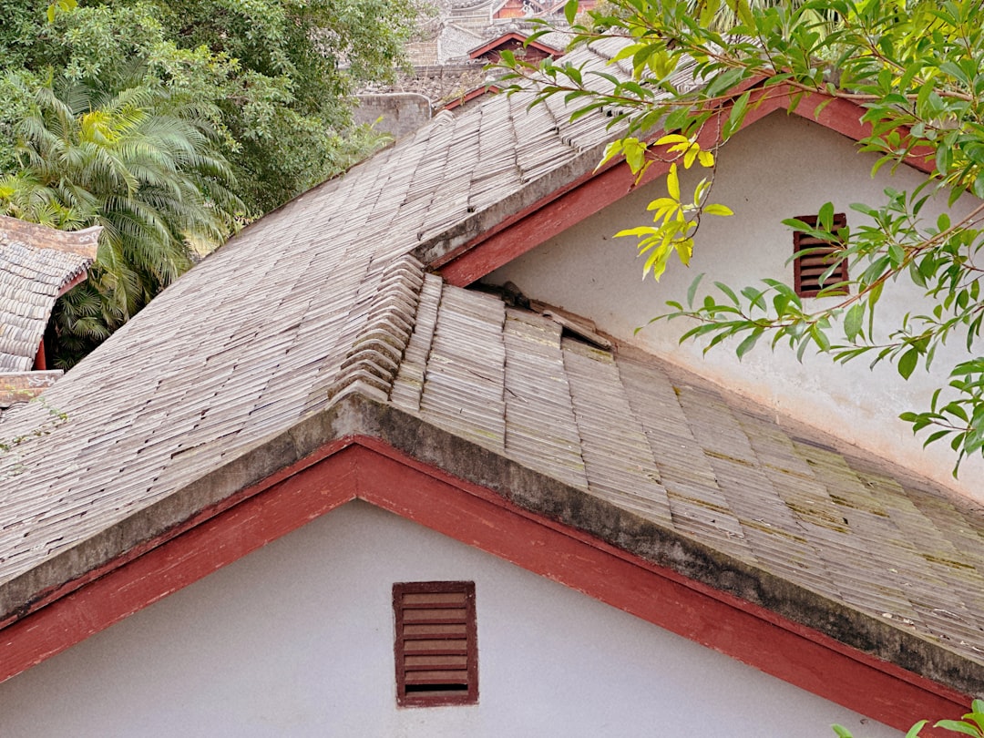 Is Your Roof Just Sitting There While the Sun Pays Your Bills?