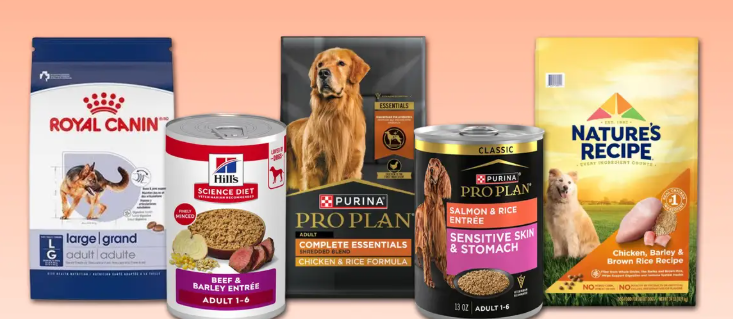 The Complete Guide to Dog Food Nutrition and Brands