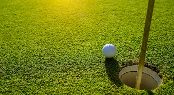 Tee Time Savings: A Guide to Senior Discounts at Public Golf Courses