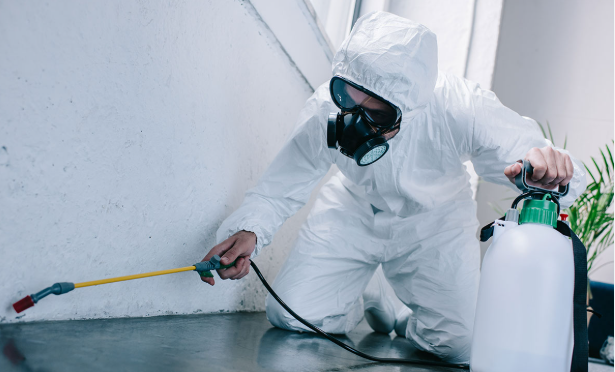 Pest Control Services: The Complete Home Guide for 2026