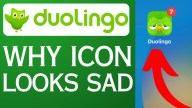 Descargar Duolingo APK: Guía rápida y sencilla para descargar la última versión en 2024