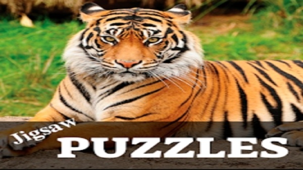Einfache Schritte zum Herunterladen von Jigsaw Puzzles auf Ihr Android-Gerät image