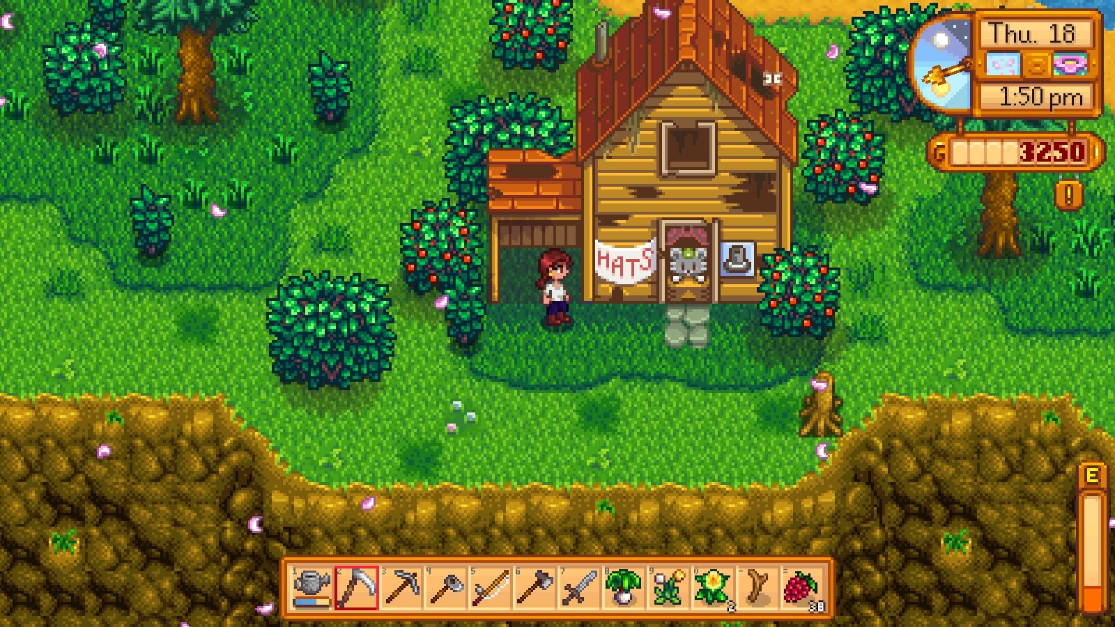 Stardew Valley's 41M Sales: Luck, Community & Success image