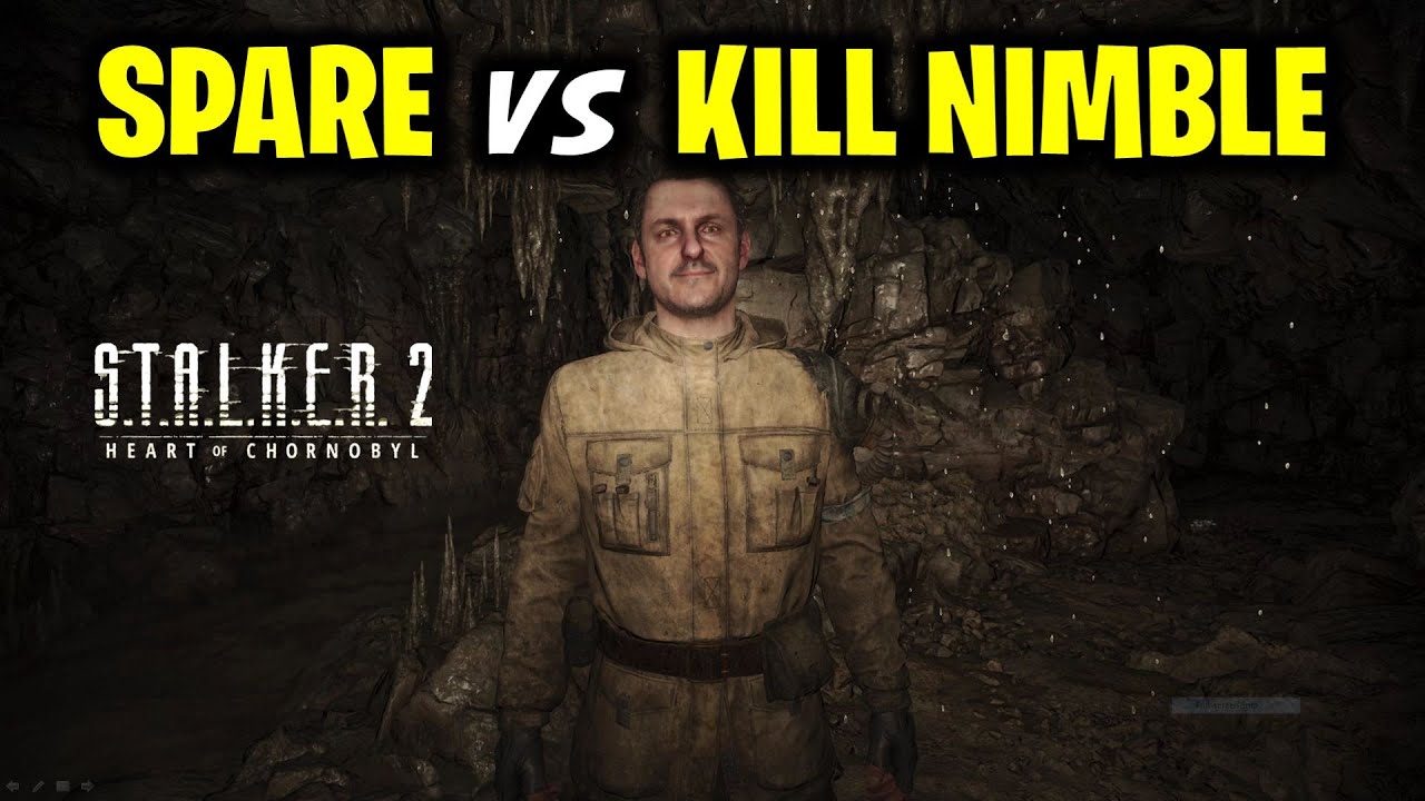 S.T.A.L.K.E.R. 2: To Kill or Spare Nimble?