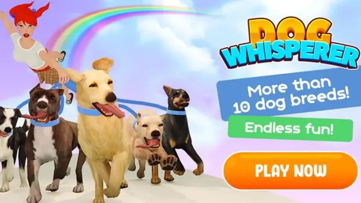 Dog Whisperer: La Aventura de Pasear Perritos más Divertida