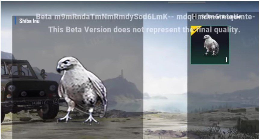 BGMI first anniversary leaks