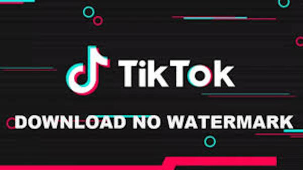 Wie kann man TikTok Video Downloader auf Android kostenlos herunterladen image