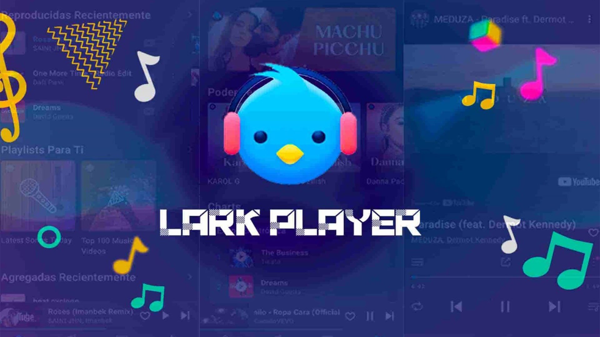 Cómo descargar Lark Player en Android image