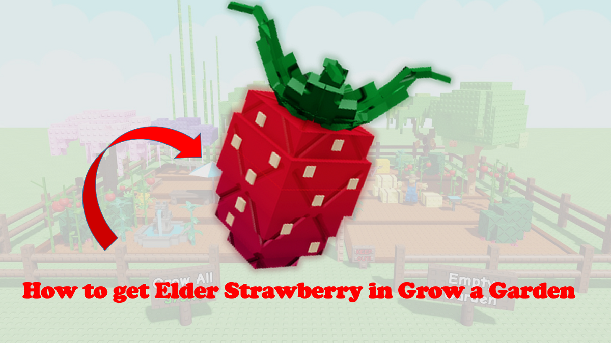 How to Get Elder Strawberry in Grow a Garden: Seed Shop Tips & Pet Strategies