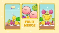 Cómo descargar Fruit Merge Master en Android