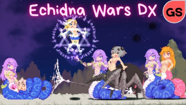 Como baixar Echidna Wars DX no Android image