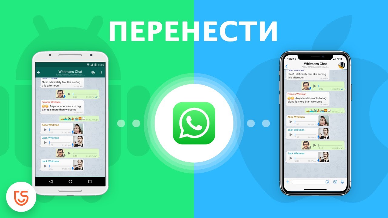 Как перенести историю чатов WhatsApp image