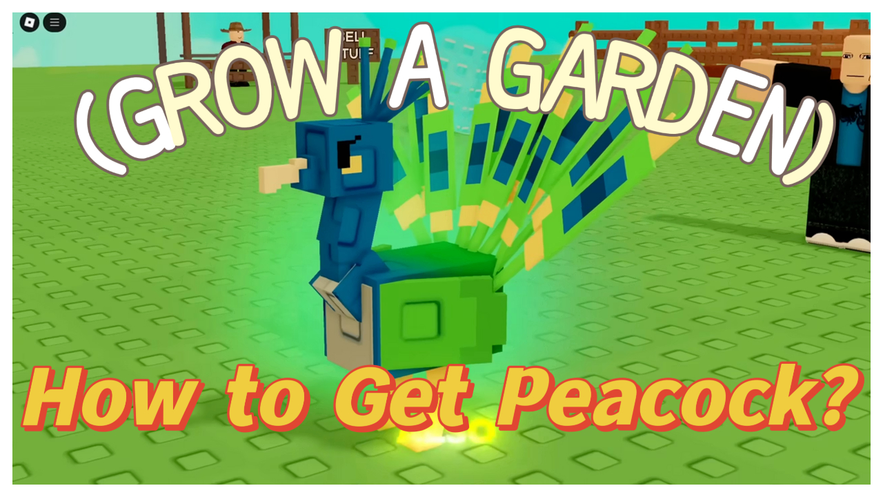 How to Get Peacock in Grow a Garden: A Complete Guide image