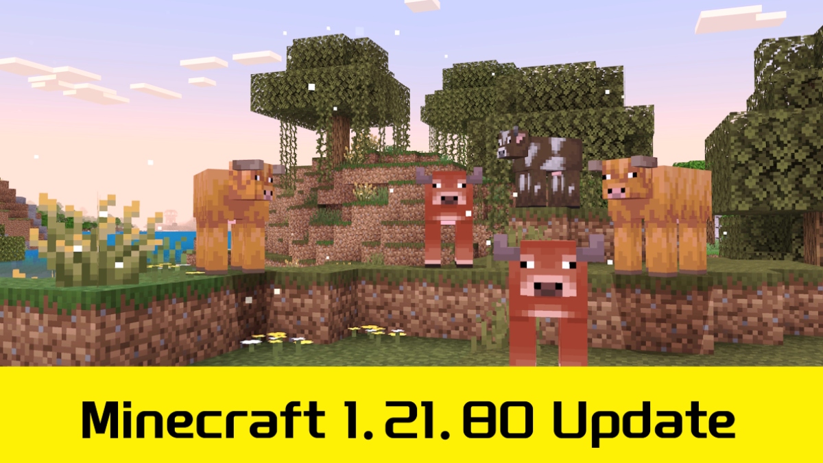 Minecraft 1.21.80 APK Update Patch Notes image