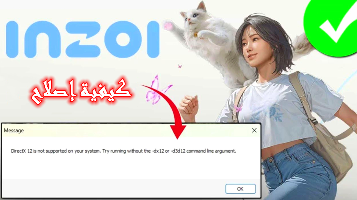 كيفية إصلاح مشكلة عدم inZOI DirectX 12 في نظامك image