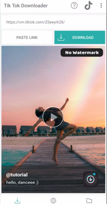 Baixar video TikTok sem marca d'água com o TikTok downloader