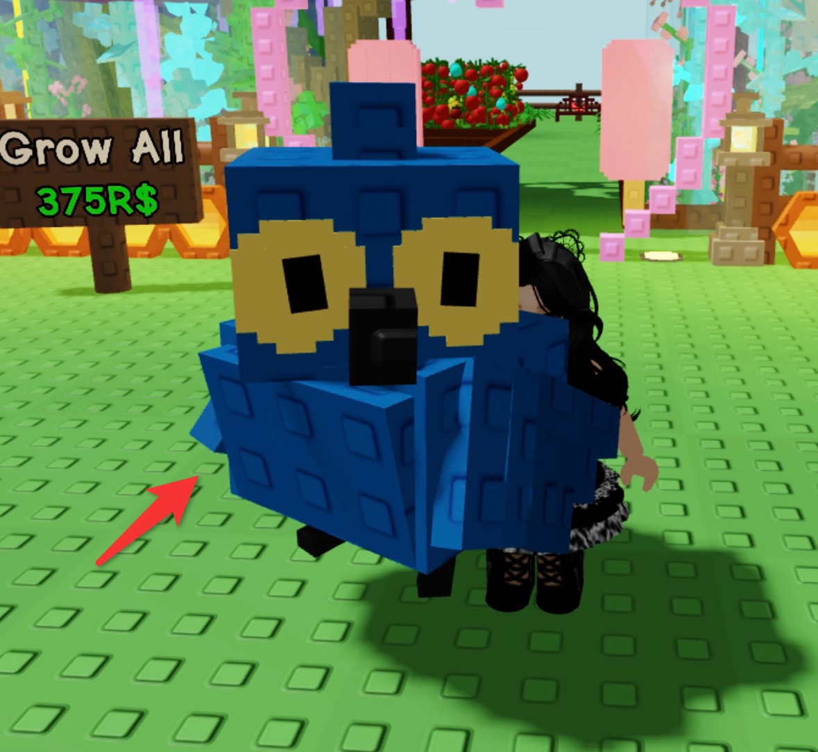 How to Obtain the Sapphire Macaw in Grow A Garden?