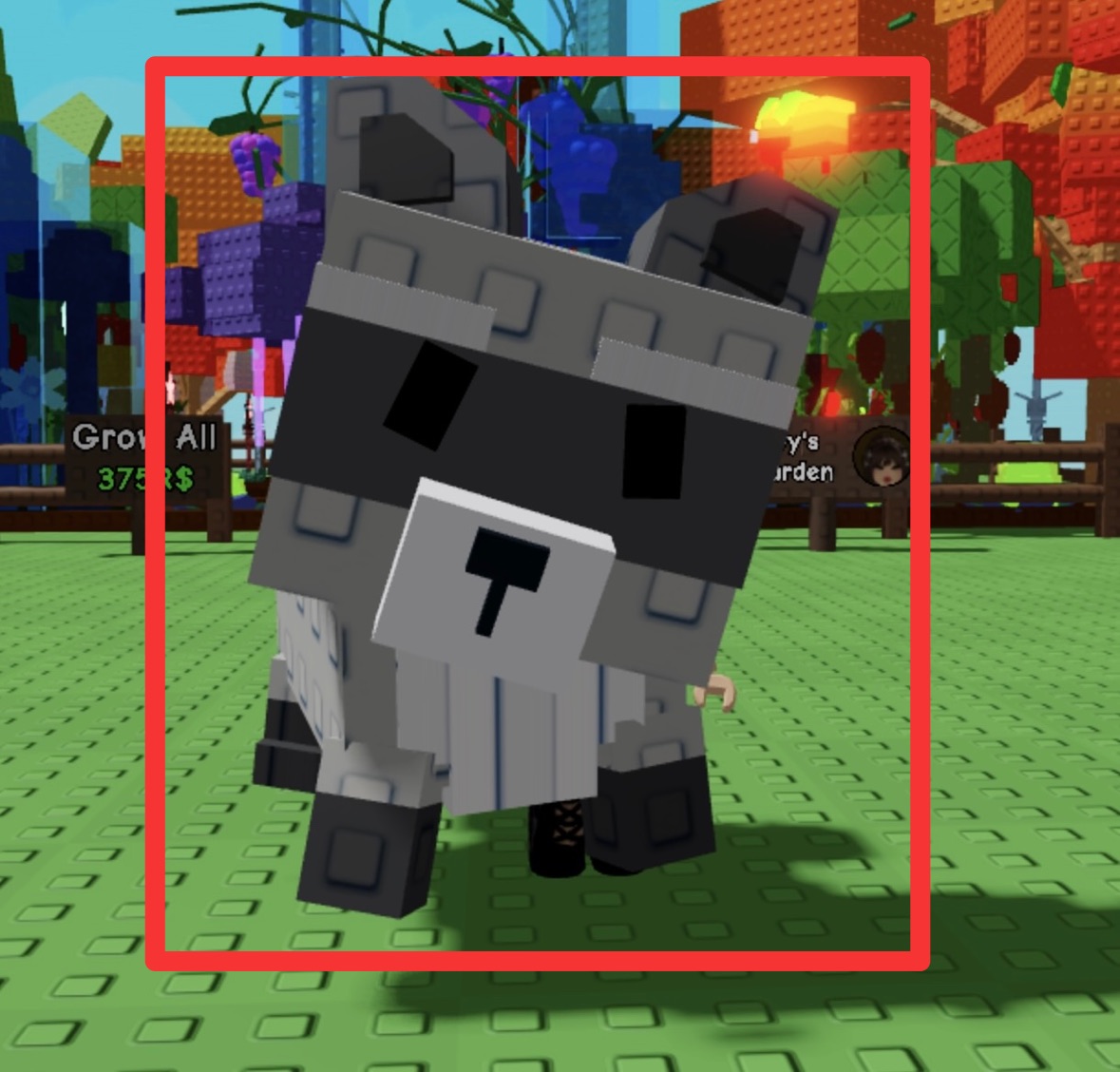 2. Raccoon [Divine]