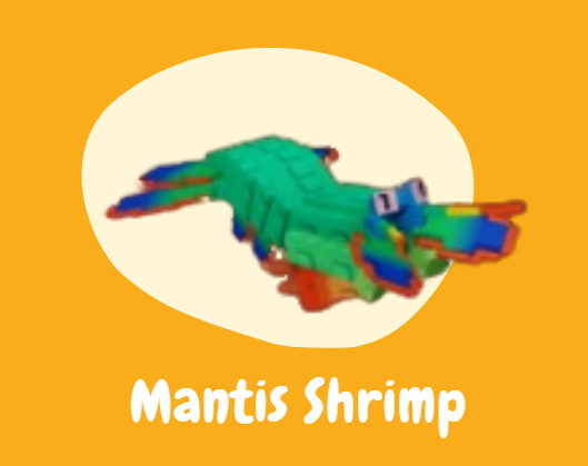 grow a garden mantis shrimp