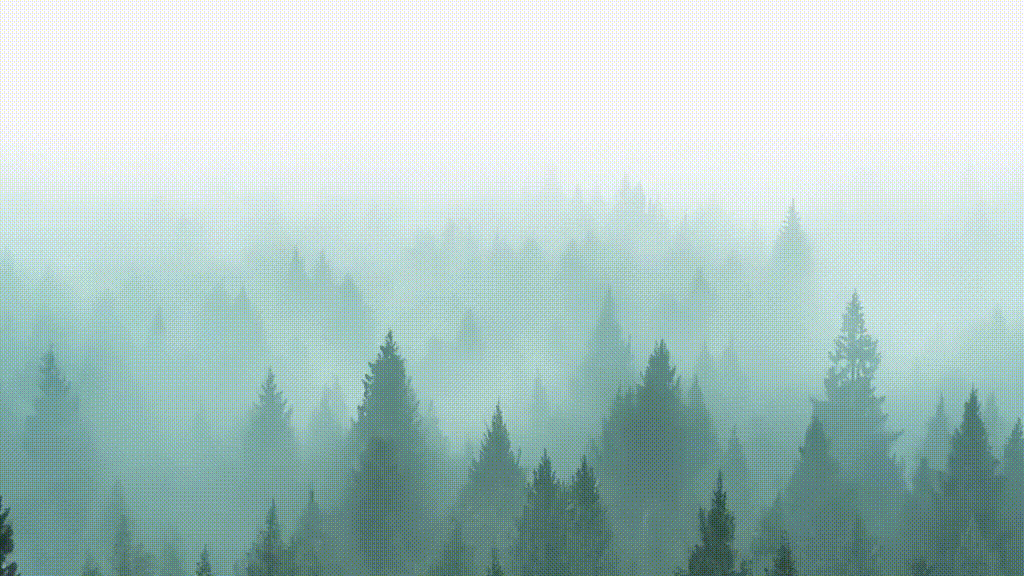 FLUX.1 Tools